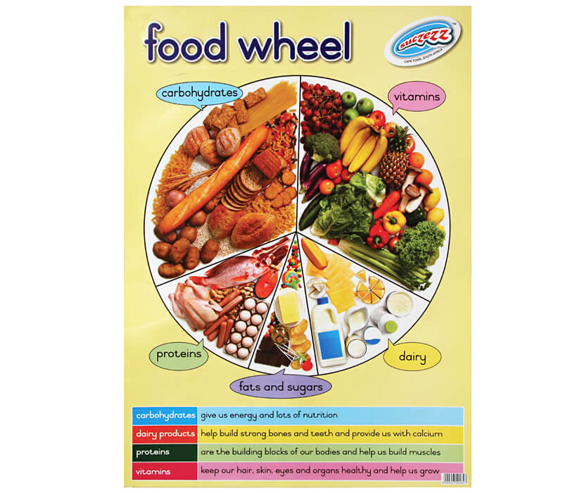 Food Wheel Poster Mambo s Storage Home