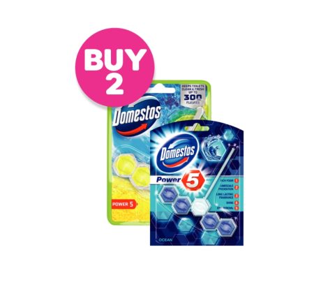 BUY 2 Domestos Rimblock 50g