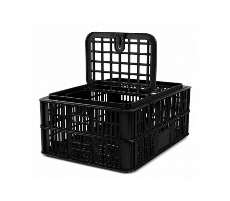 Chicken Coop